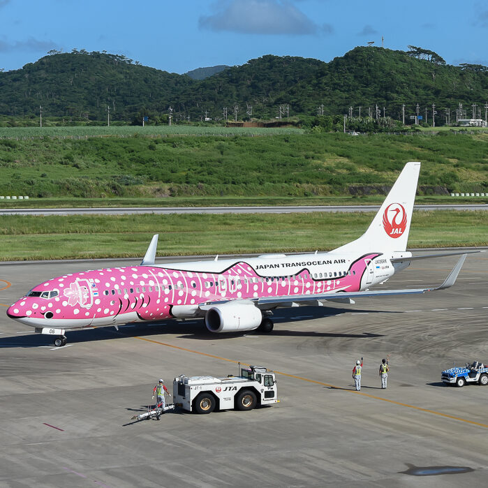 機体だけでなく機内も特別仕様のさくらジンベエジェットで那覇