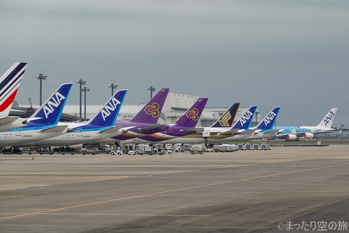 成田空港に並ぶ機体