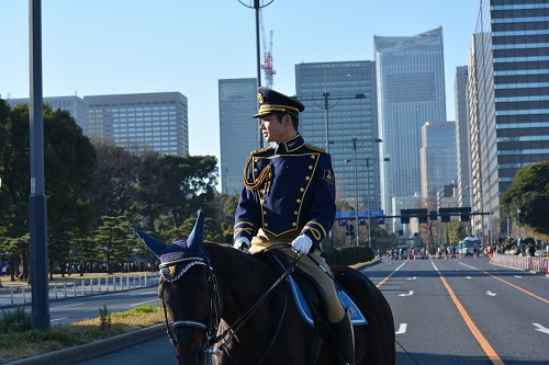 警視庁所属の皇居の警備を担当する馬と警察官